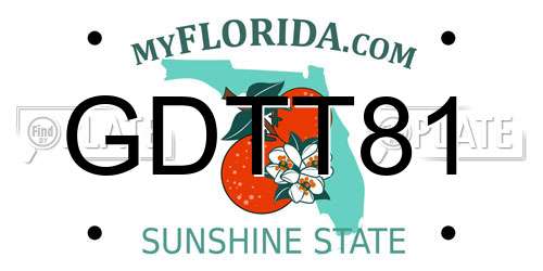GDTT81 Florida License Plate