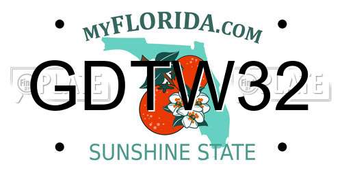 GDTW32 Florida License Plate