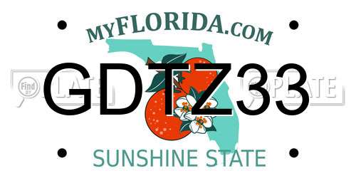 GDTZ33 Florida License Plate