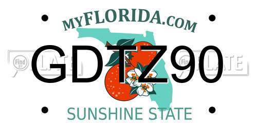 GDTZ90 Florida License Plate