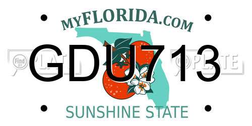 GDU713 Florida License Plate