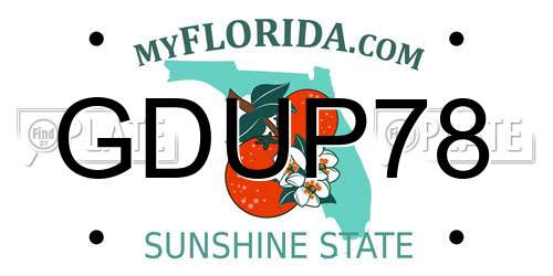 GDUP78 Florida License Plate
