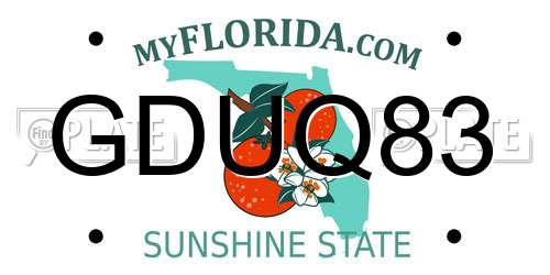 GDUQ83 Florida License Plate