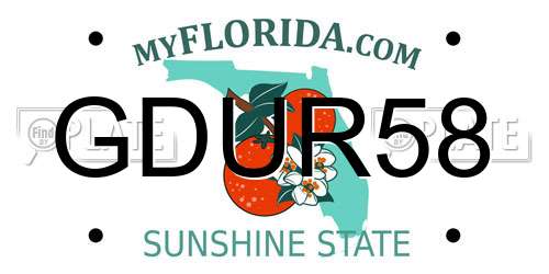 GDUR58 Florida License Plate