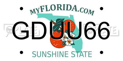 GDUU66 Florida License Plate