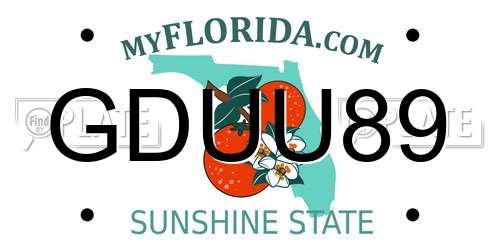 GDUU89 Florida License Plate