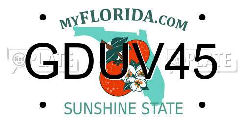GDUV45 Florida License Plate