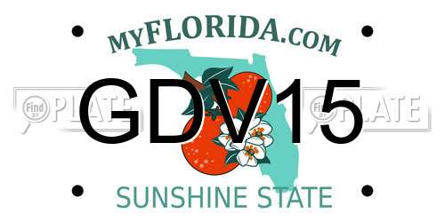 GDV15 Florida License Plate
