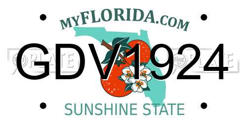 GDV1924 Florida License Plate