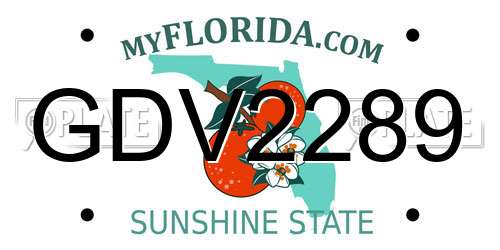 GDV2289 Florida License Plate