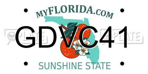 GDVC41 Florida License Plate