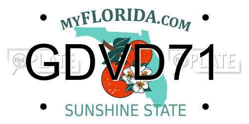 GDVD71 Florida License Plate
