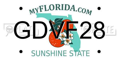 GDVF28 Florida License Plate