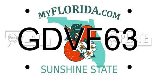 GDVF63 Florida License Plate