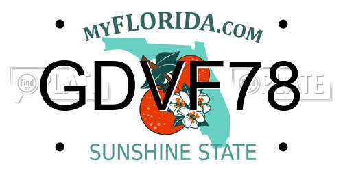 GDVF78 Florida License Plate