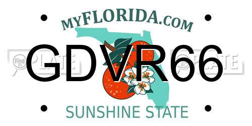 GDVR66 Florida License Plate