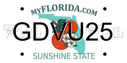 GDVU25 Florida License Plate