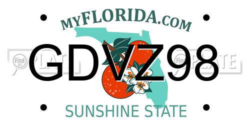 GDVZ98 Florida License Plate