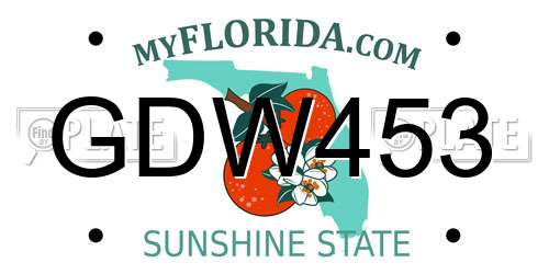 GDW453 Florida License Plate
