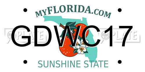 GDWC17 Florida License Plate