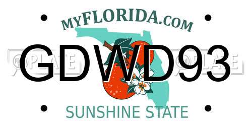 GDWD93 Florida License Plate