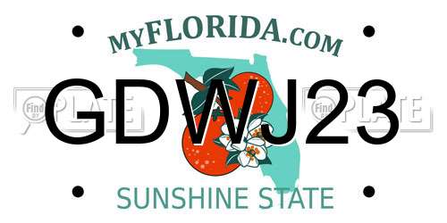 GDWJ23 Florida License Plate