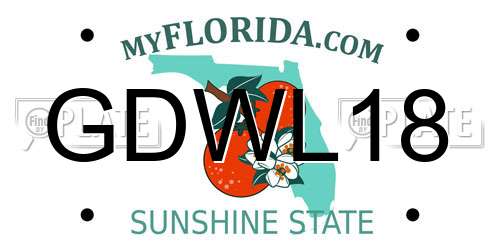 GDWL18 Florida License Plate