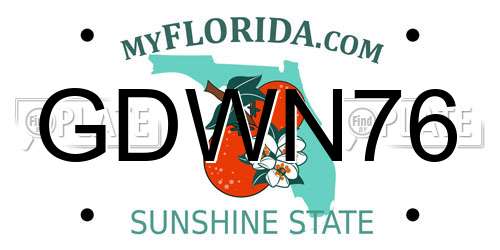 GDWN76 Florida License Plate