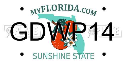 GDWP14 Florida License Plate