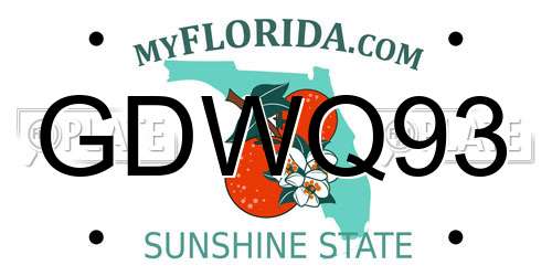 GDWQ93 Florida License Plate