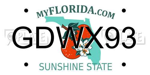 GDWX93 Florida License Plate