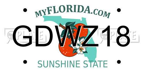 GDWZ18 Florida License Plate
