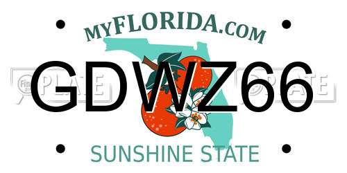 GDWZ66 Florida License Plate