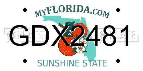 GDX2481 Florida License Plate