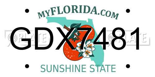 GDX7481 Florida License Plate