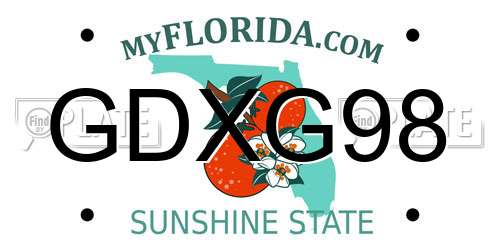 GDXG98 Florida License Plate