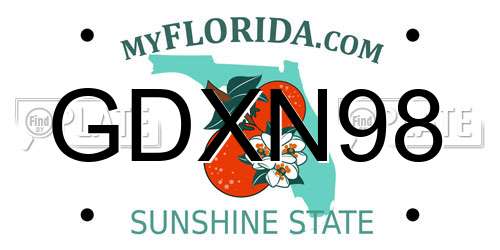 GDXN98 Florida License Plate