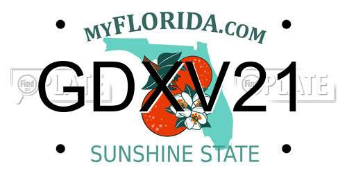 GDXV21 Florida License Plate