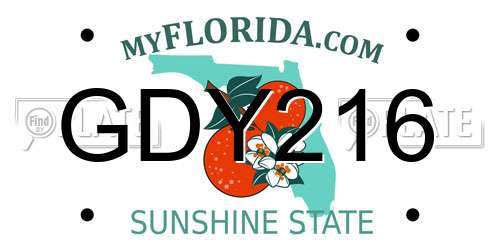 GDY216 Florida License Plate