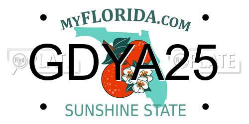 GDYA25 Florida License Plate