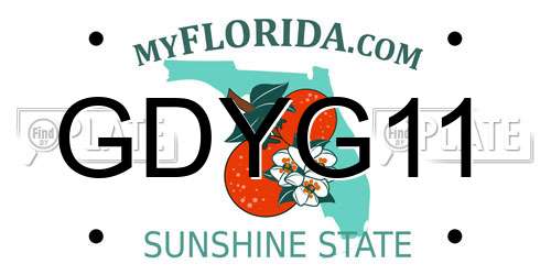 GDYG11 Florida License Plate