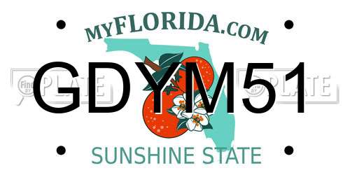 GDYM51 Florida License Plate
