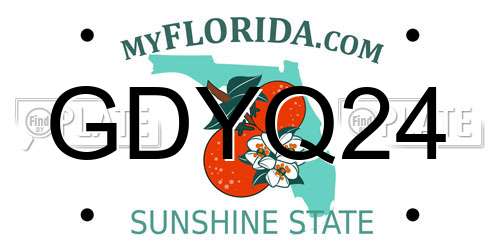 GDYQ24 Florida License Plate