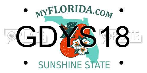 GDYS18 Florida License Plate