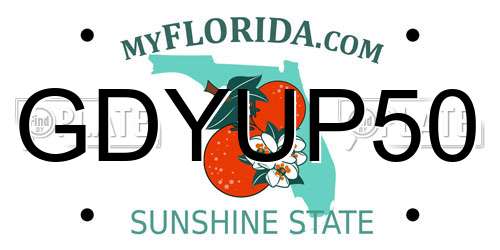 GDYUP50 Florida License Plate