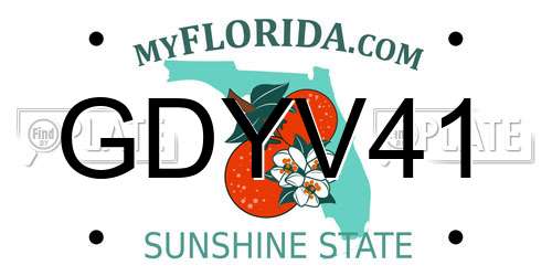 GDYV41 Florida License Plate