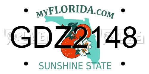 GDZ2148 Florida License Plate