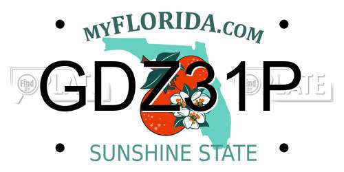 GDZ31P Florida License Plate