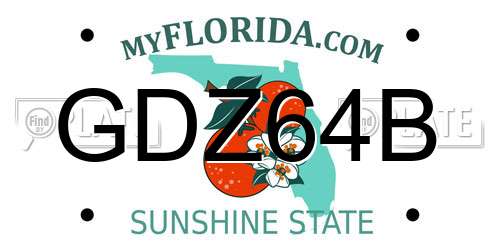 GDZ64B Florida License Plate
