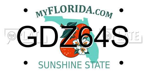 GDZ64S Florida License Plate